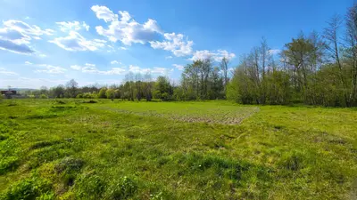 Ділянка поряд з річкою Ворскла та сосновим лісом — мініатюра фото 2