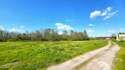 Ділянка поряд з річкою Ворскла та сосновим лісом — мініатюра фото 4