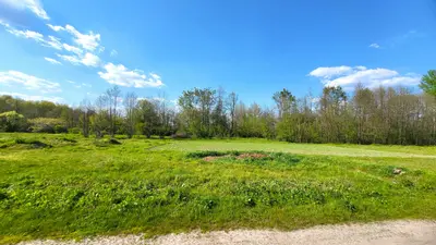 Ділянка поряд з річкою Ворскла та сосновим лісом — мініатюра фото 6