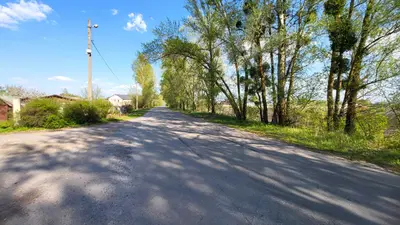 Ділянка поряд з річкою Ворскла та сосновим лісом — мініатюра фото 8