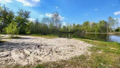 Ділянка поряд з річкою Ворскла та сосновим лісом — мініатюра фото 9
