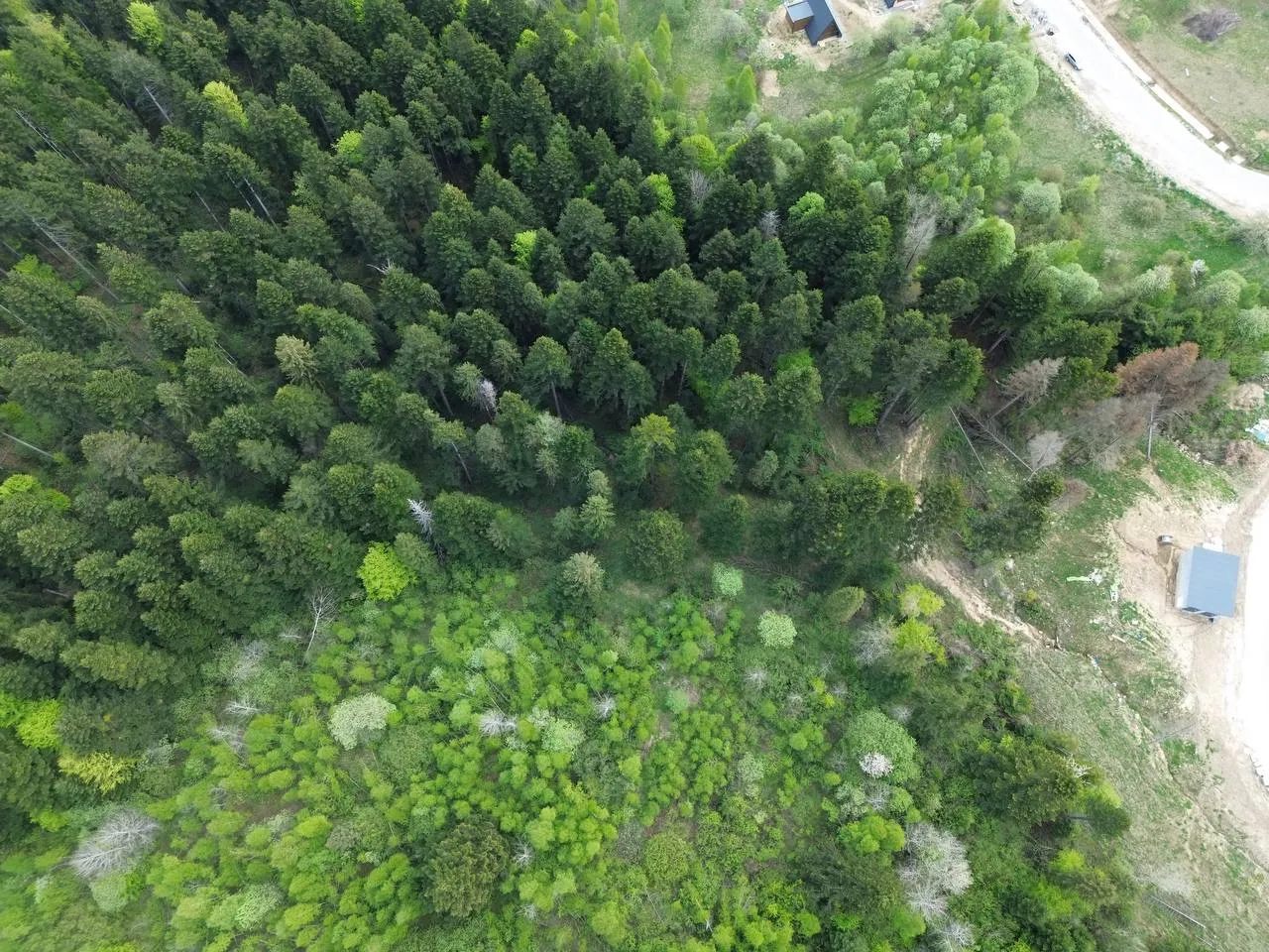 🏔️ Продаж земельних ділянок біля готелю «Панорама» у смт. Східниця 🌿 — фото 4 з 10