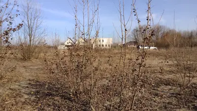 Осокорки. Продам ділянку 12 соток в хорошому місці. — мініатюра фото 9
