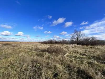 Ділянка 25 соток. с. Жеки поруч ліс. — мініатюра фото 4