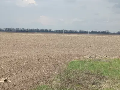 Продаж земельної ділянки для ведення товарного сільськогосподарського виробництва — мініатюра фото 2
