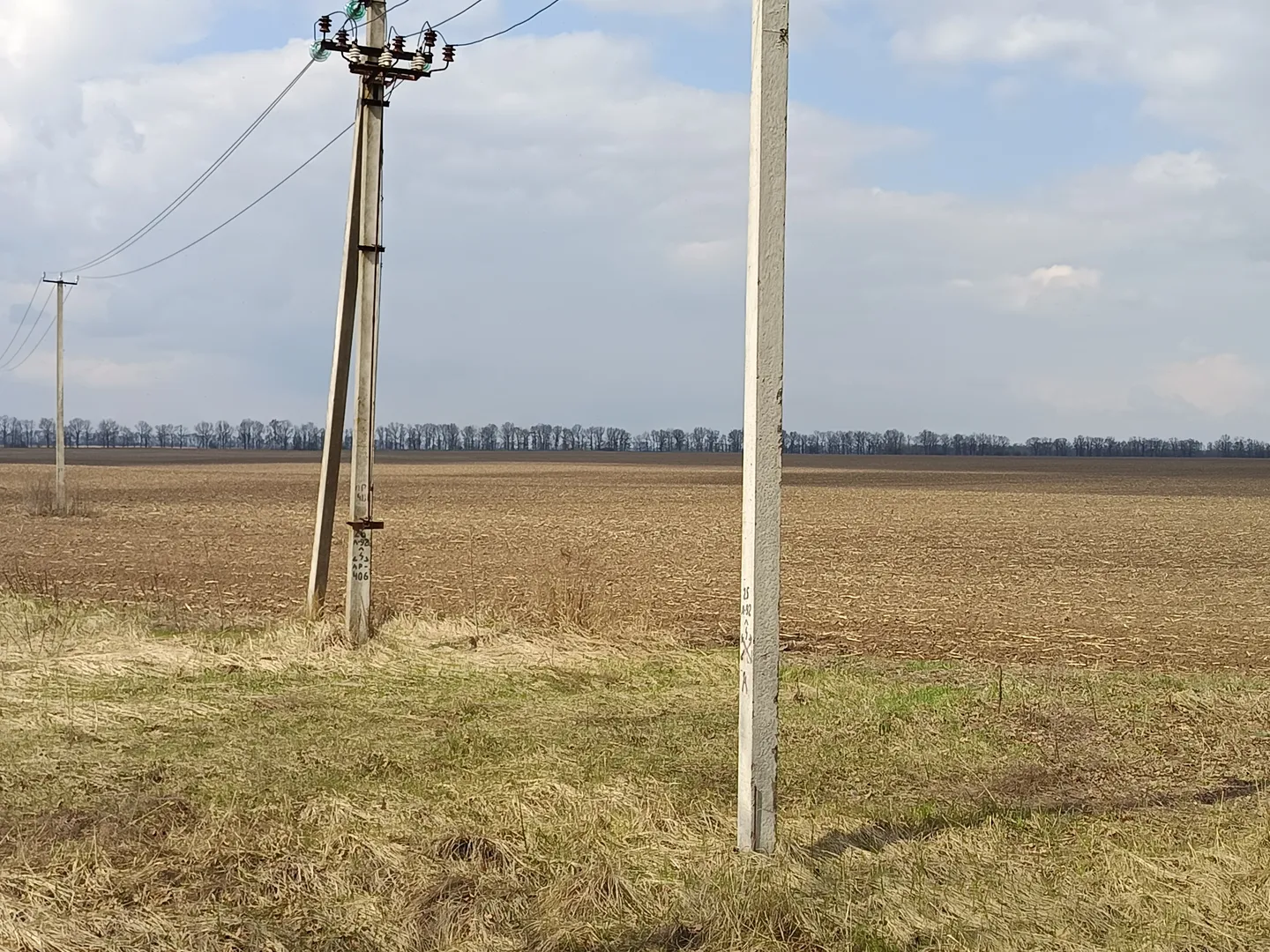 Продаж земельної ділянки для ведення товарного сільськогосподарського виробництва — фото 4 з 5