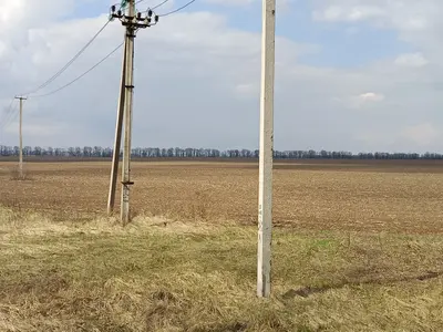 Продаж земельної ділянки для ведення товарного сільськогосподарського виробництва — мініатюра фото 4