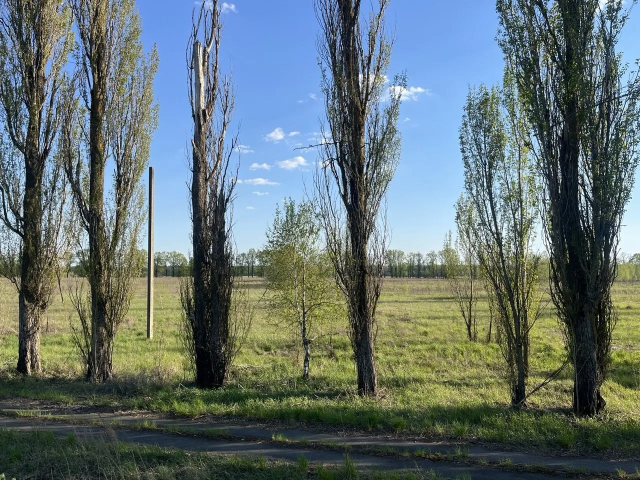 Продаж ділянки 2.9117 га — фото 5 з 5