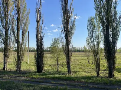 Продаж ділянки 2.9117 га — мініатюра фото 5