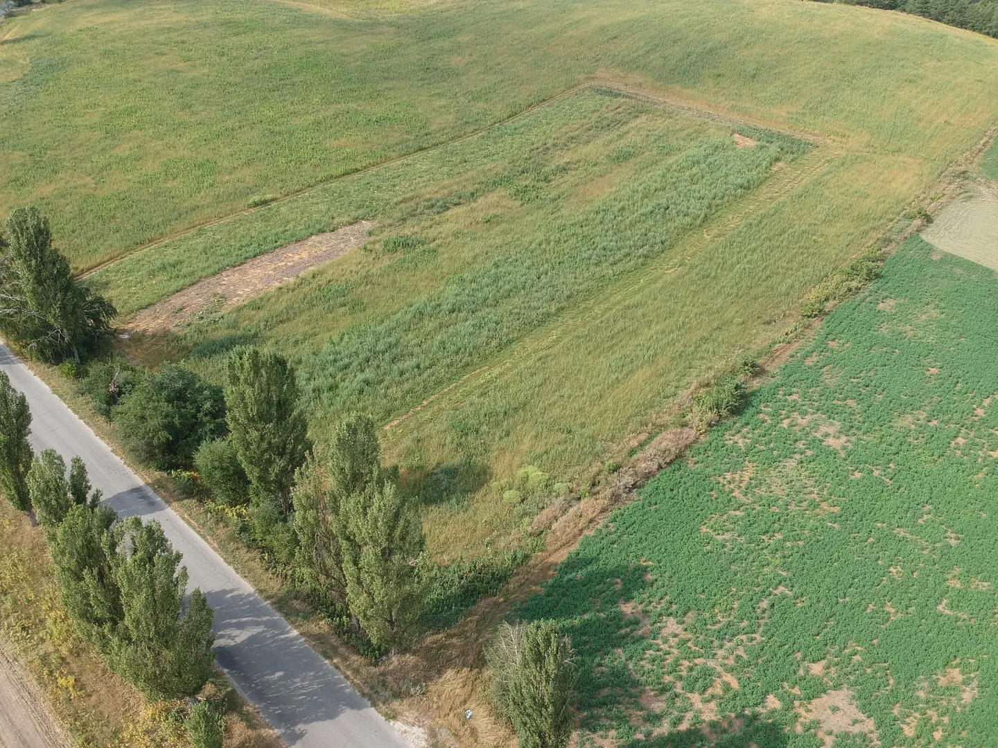 Пропонуєтся ділянка 1.1га, в генеральному плані житлова забудова, можемо перевести. ціна 132000 за ділянку. Власник +380981521212