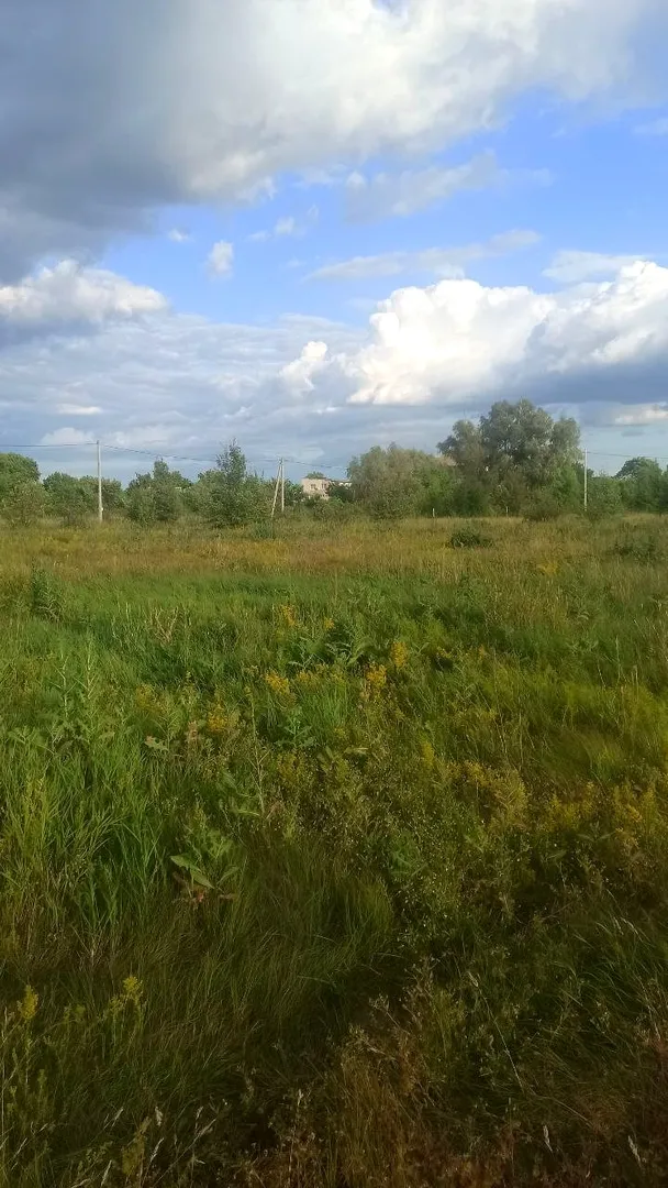 Ділянка 15 соток під забудову, с. Рожни Київська область, від власника — фото 1 з 5