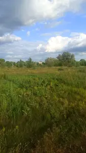 Ділянка 15 соток під забудову, с. Рожни Київська область, від власника — мініатюра фото 1