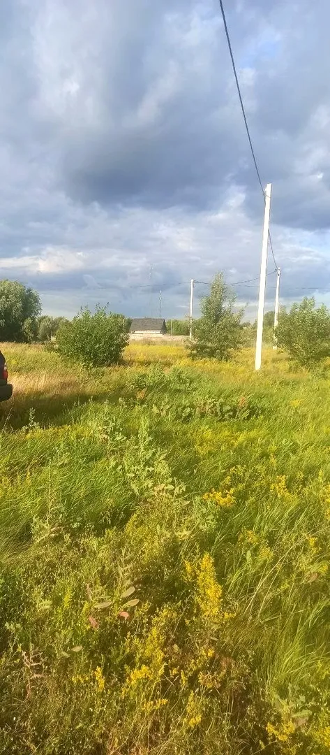 Ділянка 15 соток під забудову, с. Рожни Київська область, від власника — фото 2 з 5