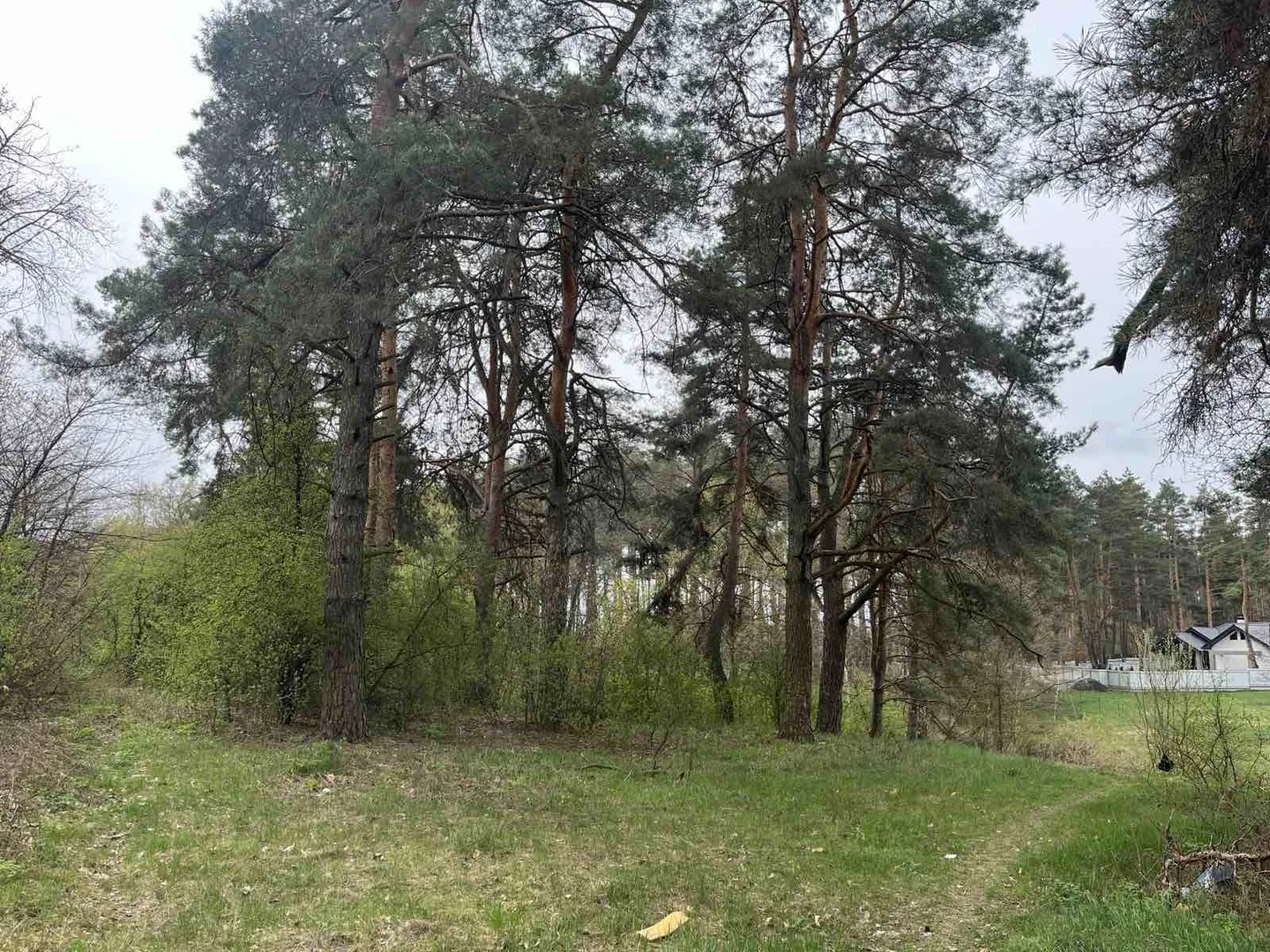 Продаж ділянки з комунікаціями по вулиці — фото 3 з 5
