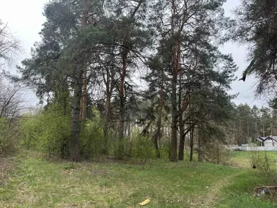 Продаж ділянки з комунікаціями по вулиці — мініатюра фото 3