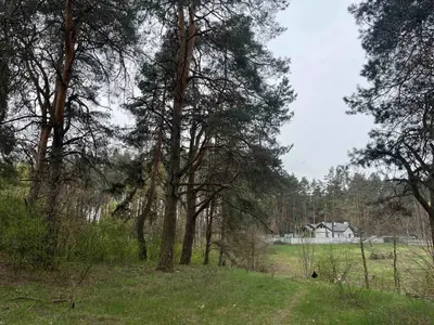 Продаж ділянки з комунікаціями по вулиці — мініатюра фото 4