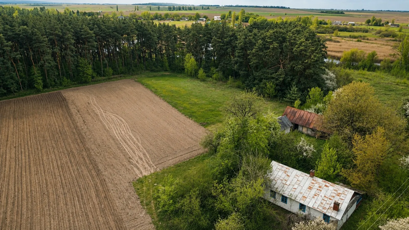 Хутір серед лісу | будинок, 72 сотки землі | річка поруч — фото 4 з 7