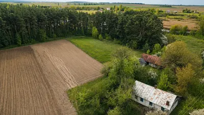 Хутір серед лісу | будинок, 72 сотки землі | річка поруч — мініатюра фото 4