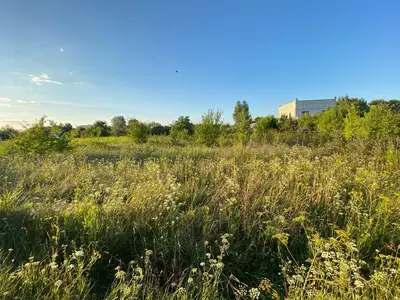 Земельна ділянка в с. Андріївка 20 соток — мініатюра фото 1