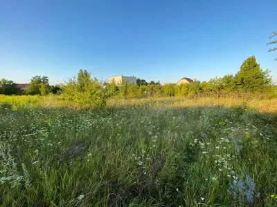 Земельна ділянка в с. Андріївка 20 соток — мініатюра фото 4