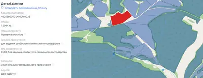 Продаж /земля/Сільськогосподарське/ Турківський рн/ Львівська обл — мініатюра фото 1