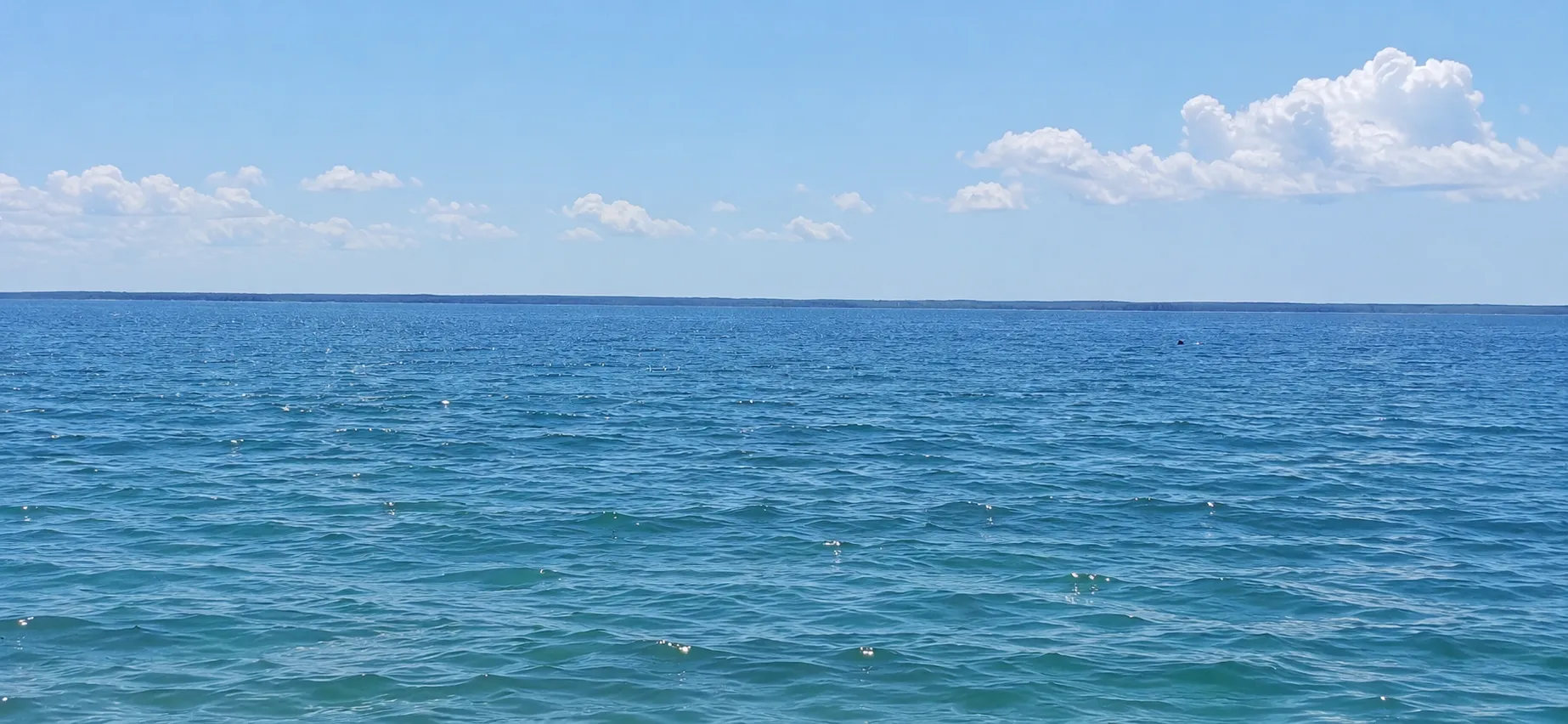  ділянка в селі Ясногродка: поряд Море, пляж і 45 км від Києва. — фото 1 з 13