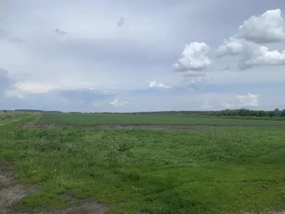 продаж — мініатюра фото 3