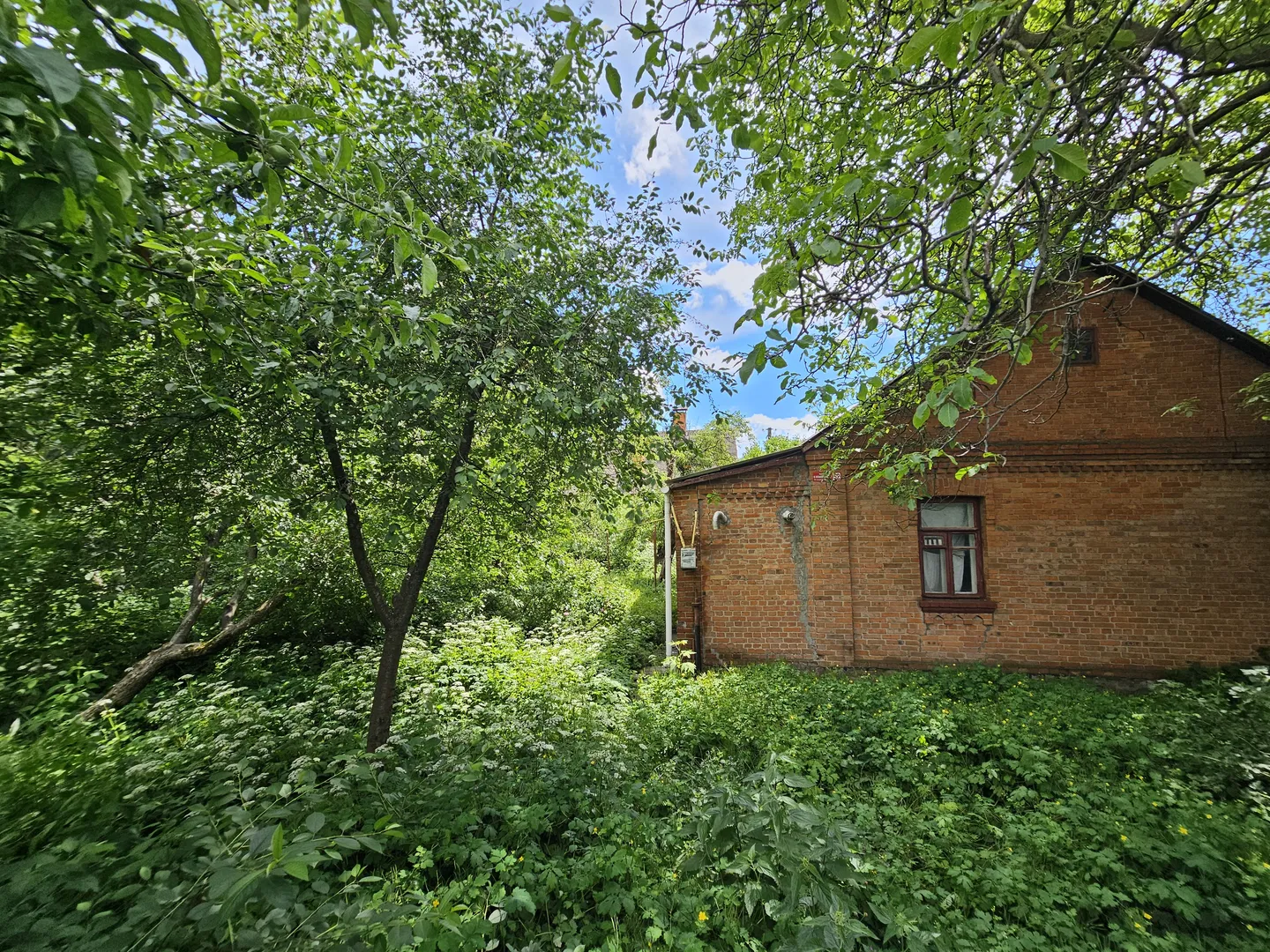 Продаж ділянки  — фото 9 з 11