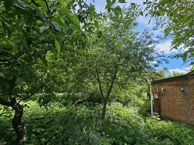 Продаж ділянки  — мініатюра фото 11