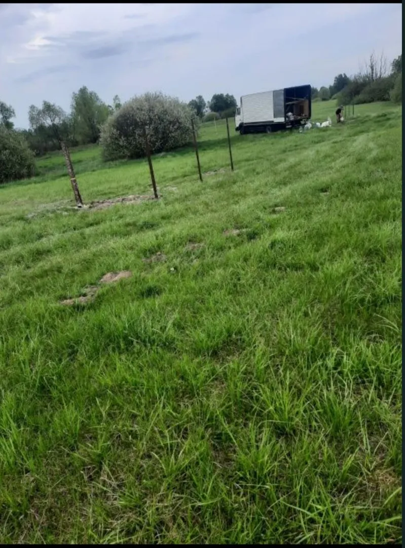 Продаж земельної ділянки 0,07 га. с.Требухів (Київська обл.)