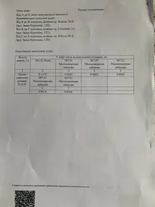 Продаж земельної ділянки з будівлями площею 0,25 Га — мініатюра фото 20