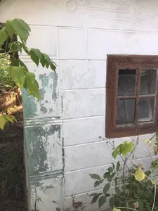 Продаж земельної ділянки з будівлями площею 0,25 Га — мініатюра фото 11