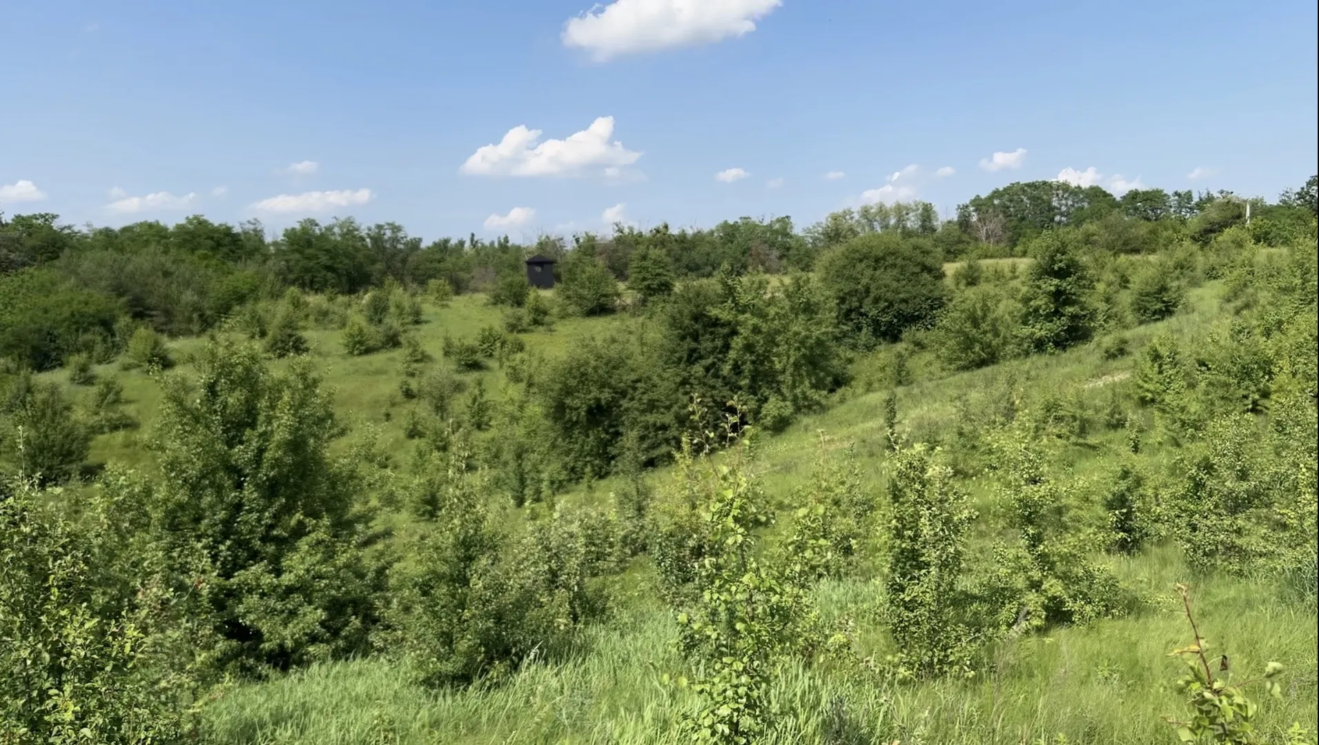 Видові на схилі 2 га з виходом в ліс.