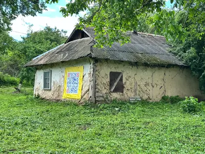 Продаю 50 сот . Частина 2  — мініатюра фото 1