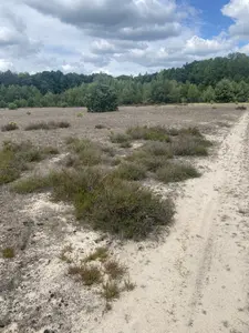 Продаж земельної ділянки під будівництво  — мініатюра фото 6