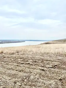 Продається земельна ділянка в с. Велика Слобода 12 соток. — мініатюра фото 2