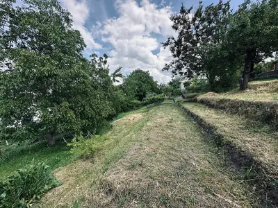 Продам участок с своим берегом с. Волосское — мініатюра фото 5