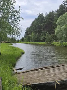 Ділянка біля лісу з власним озером. Є газ, світло, вода. 3.27 Га — мініатюра фото 4