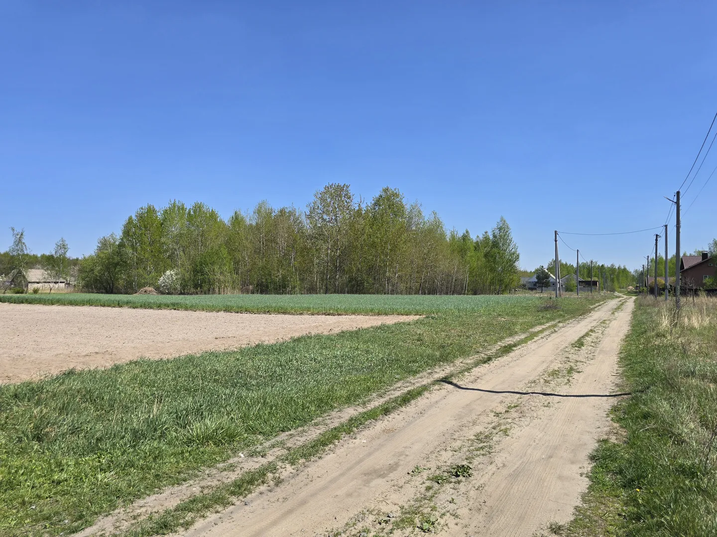 Ділянка 15 соток під будівництво. Поруч електрика, газ — фото 4 з 6