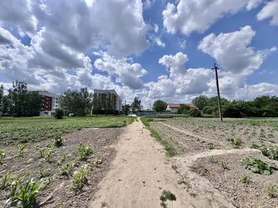Ділянка під будівництво в центрі Бородянки. 16.5 соток — мініатюра фото 3