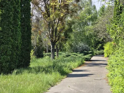 Продаж ділянки із зручним виїздом на Житомирську трасу — мініатюра фото 3