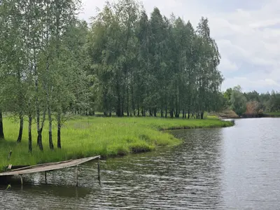 Ділянка біля лісу з власним озером. Є газ, світло, вода. 3.27 Га — мініатюра фото 1