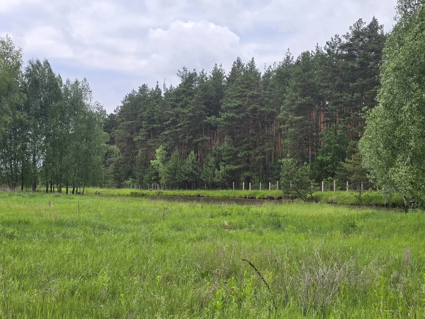 Ділянка біля лісу з власним озером. Є газ, світло, вода. 3.27 Га — фото 2 з 7