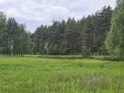 Ділянка біля лісу з власним озером. Є газ, світло, вода. 3.27 Га — мініатюра фото 2