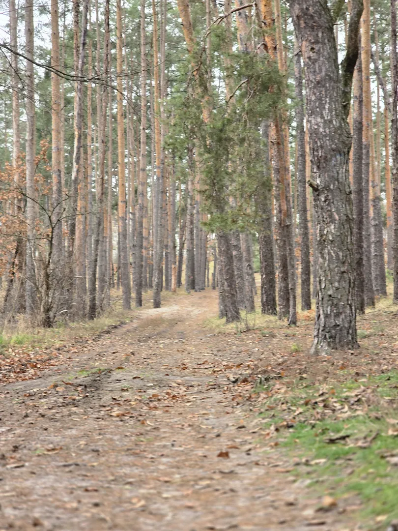 Ділянка 10 соток під будівництво. Комунікації поруч