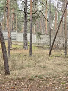 Ділянка 10 соток під будівництво. Комунікації поруч — мініатюра фото 3
