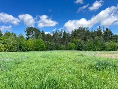 Ділянка під будівництво 64 сотки газ, світло, вода є — мініатюра фото 3