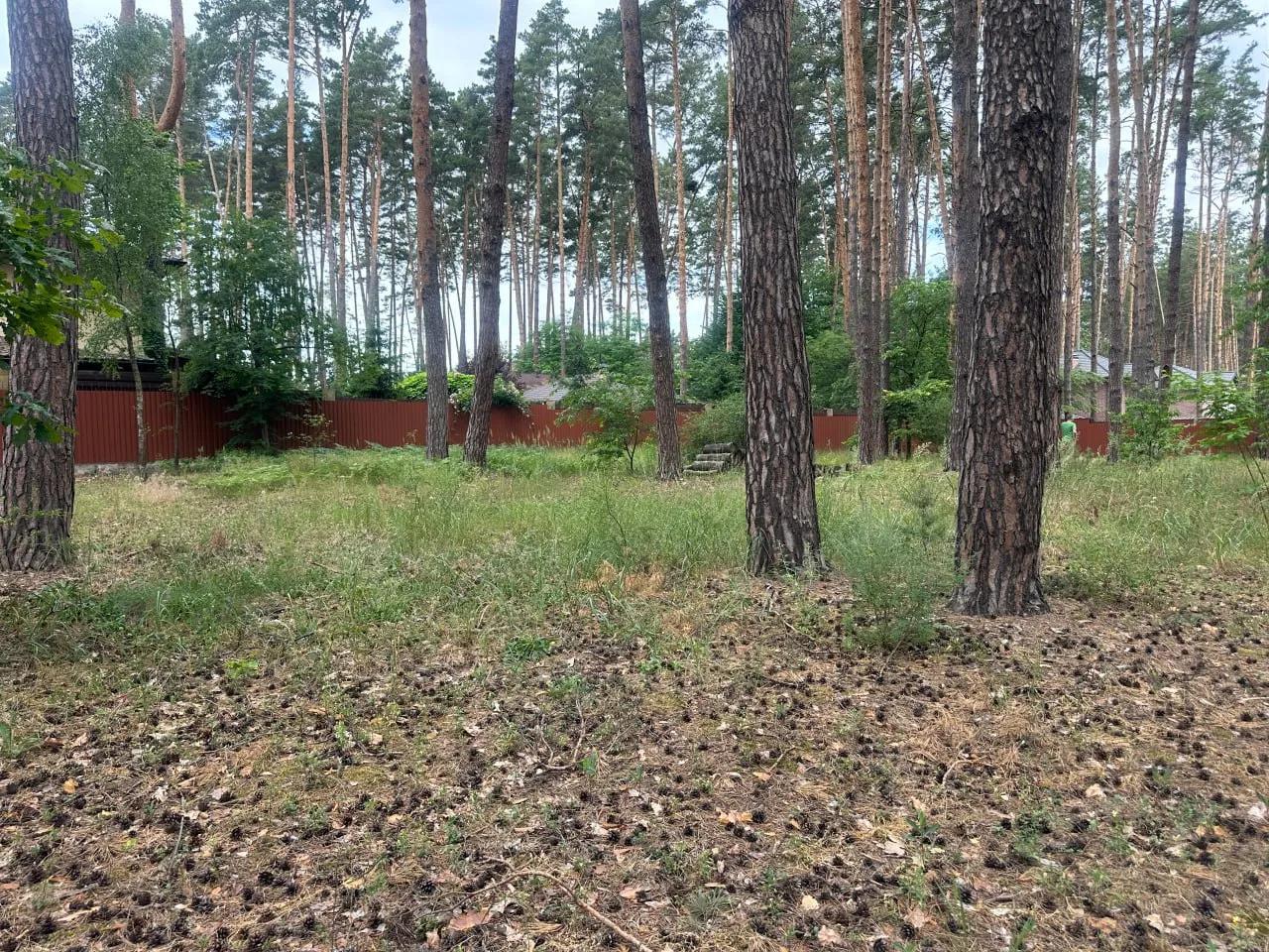 Ділянка 21 сотка біля КМ Zahrava, Лісова Буча. Під забудову — фото 2 з 3