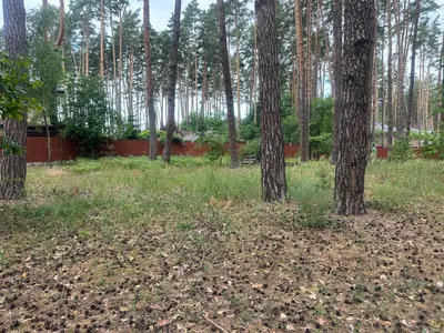 Ділянка 21 сотка біля КМ Zahrava, Лісова Буча. Під забудову — мініатюра фото 2