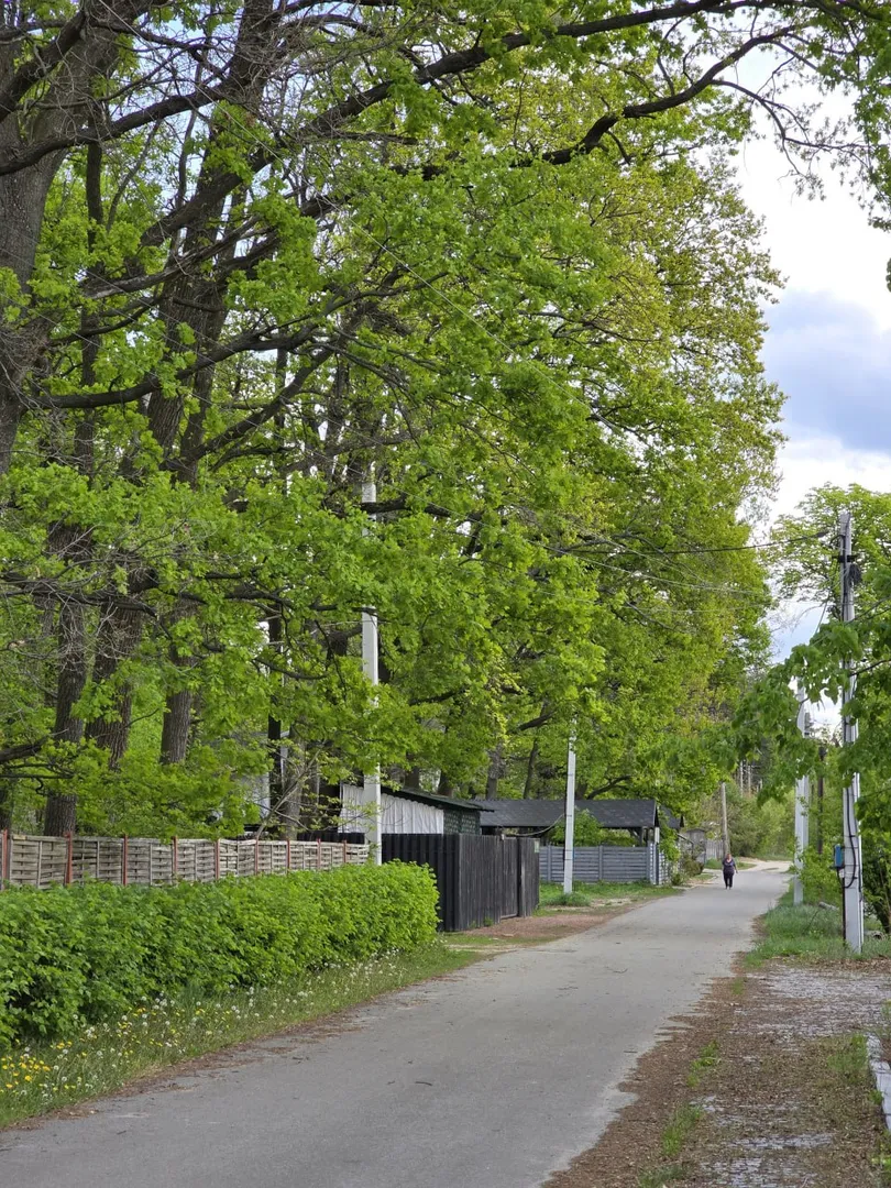 1 га у Ворзелі | Асфальт + комунікації. Хороша локація під котеджі — фото 3 з 3